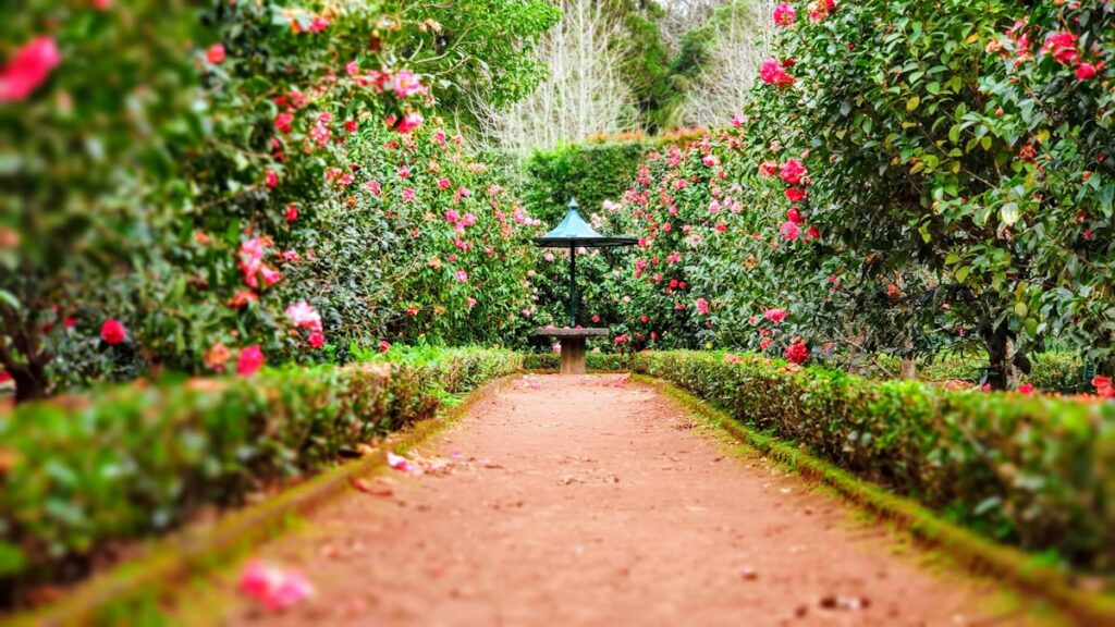 jardim sustentável - imagem destacada de jardinagem