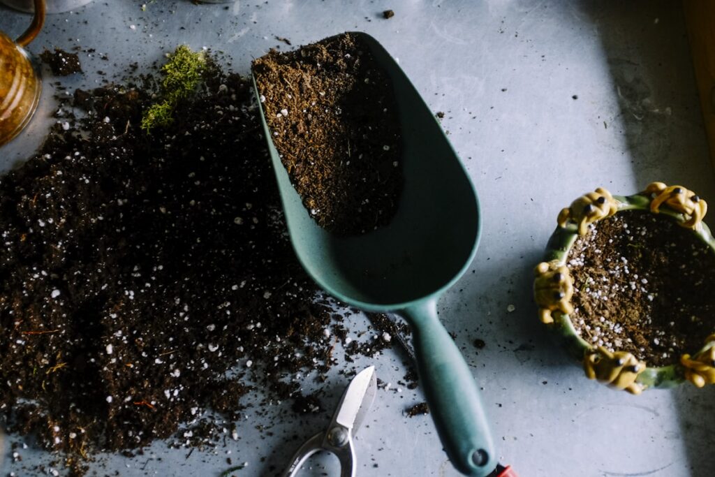 montar um jardim em casa - imagem destacada de jardinagem